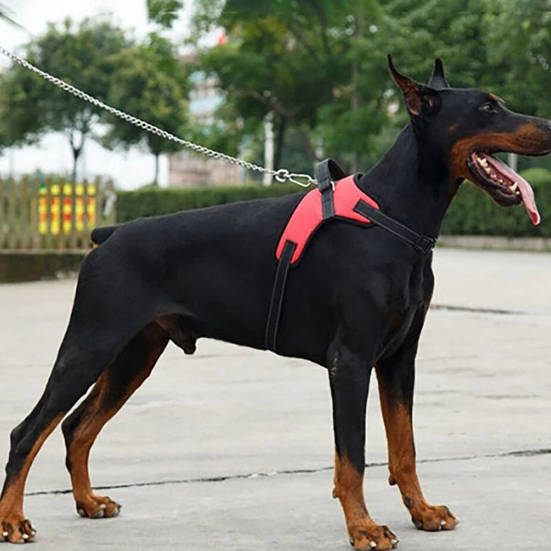 Reflective Adjustable Dog Harness & Leash Set | No-Pull Walking Vest