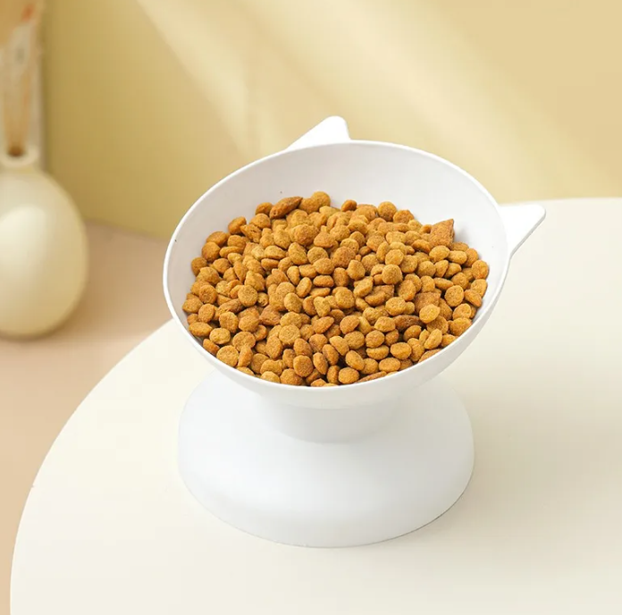 Elevated Tilted Pet Bowl