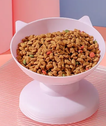 Elevated Tilted Pet Bowl