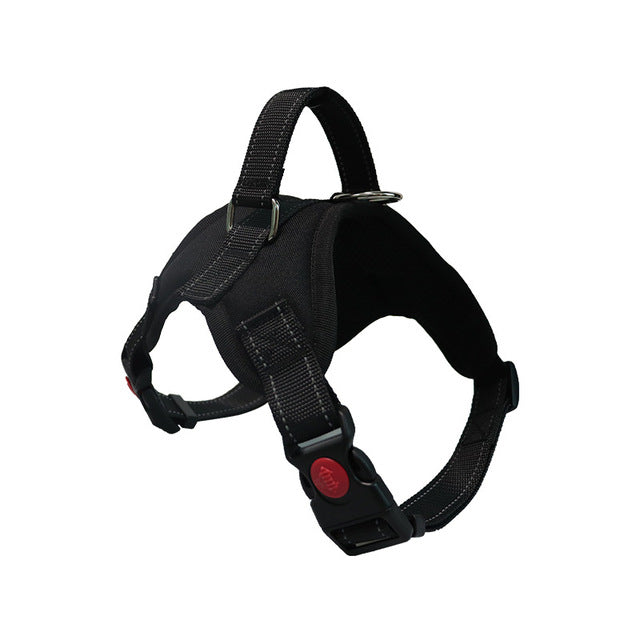 Reflective Adjustable Dog Harness & Leash Set | No-Pull Walking Vest