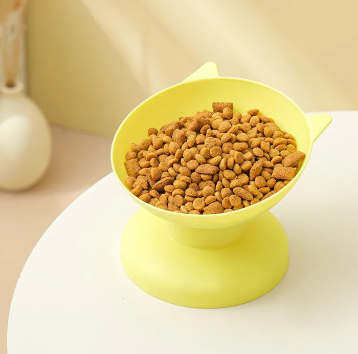 Elevated Tilted Pet Bowl