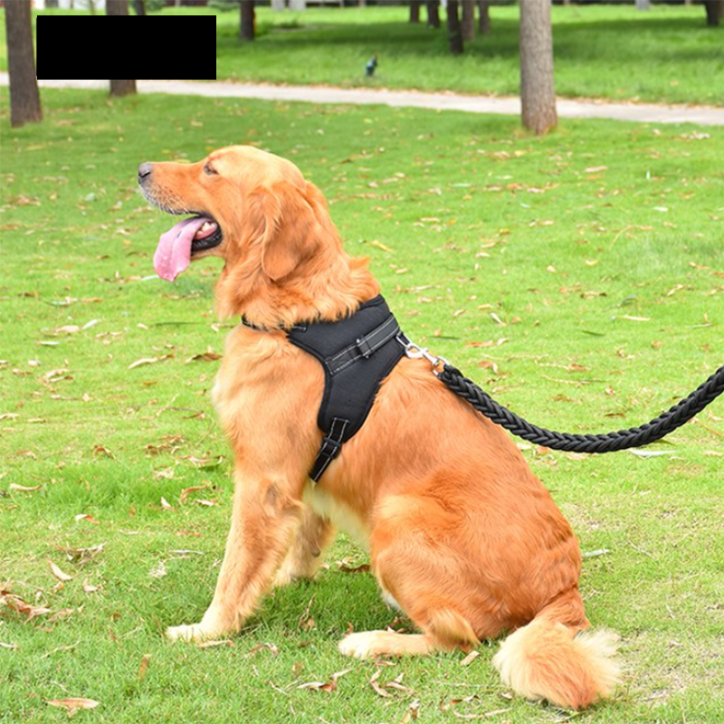 Reflective Adjustable Dog Harness & Leash Set | No-Pull Walking Vest