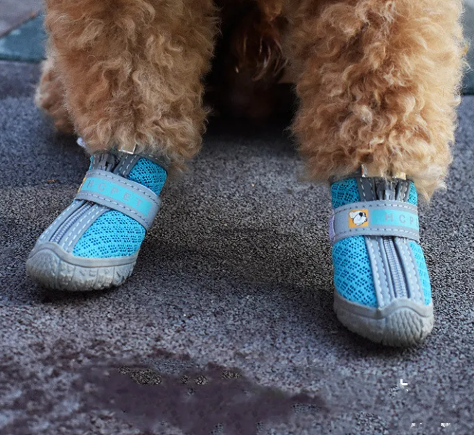 Breathable Anti-Slip Dog Shoes - Protective Outdoor Paw Boots (Set of Four)