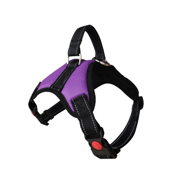 Reflective Adjustable Dog Harness & Leash Set | No-Pull Walking Vest
